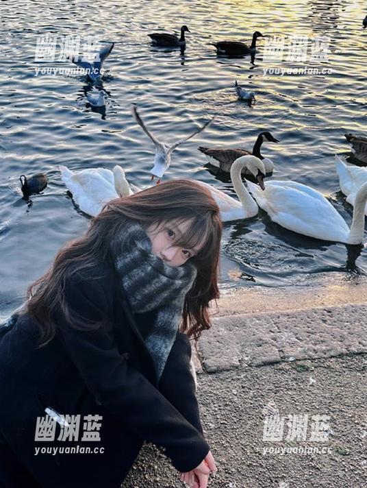 17 www.17这个地方的视频有毒,完全停不下来,有人和我一样吗?