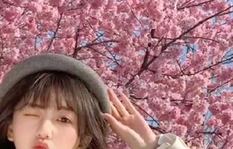 点进17c吃瓜网址，发现自己成了瓜贩子！