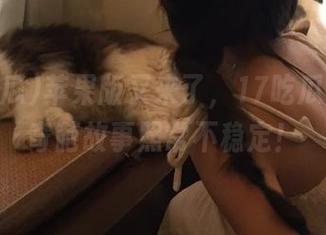 苹果版又来了，17吃瓜官网的奇葩故事照常不稳定！