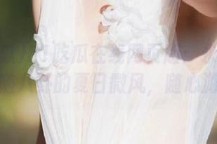 51吃瓜在线网页版：永不迷路，跟随八卦的夏日微风，随心游荡！
