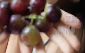 吃瓜不只一味，更新之后的92吃瓜网cg又有什么新内容？