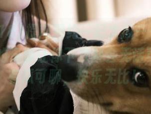 提前预约一记大瓜——yule718net的资源让你下次聚会无话可说变成有瓜可聊，快乐无比！