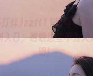 zztt11黑料不打烊官网，各种猛料入口，瞧瞧这些不为人知的精彩吧！