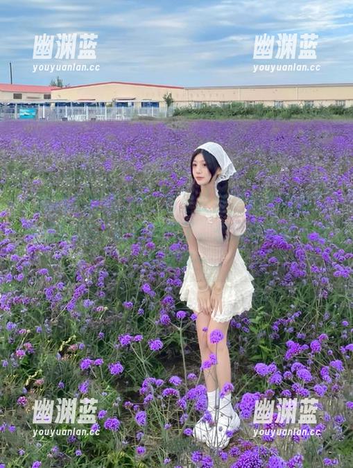 这“万里长征黑料不打烊”视频的06，让我沉默了，想说些啥却又说不出来…