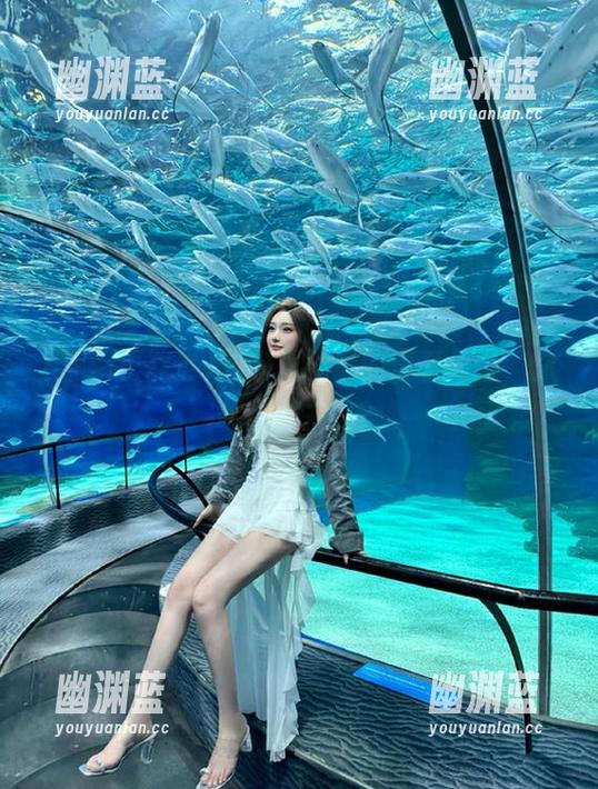 黑料正能量的观看入口，你敢点进去吗？